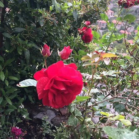 Mpelleiko 3* Stemnitsa