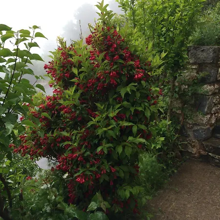 Mpelleiko Gæstehus Stemnitsa