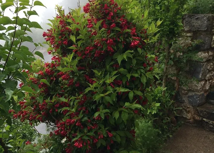 Mpelleiko Gasthuis Stemnitsa